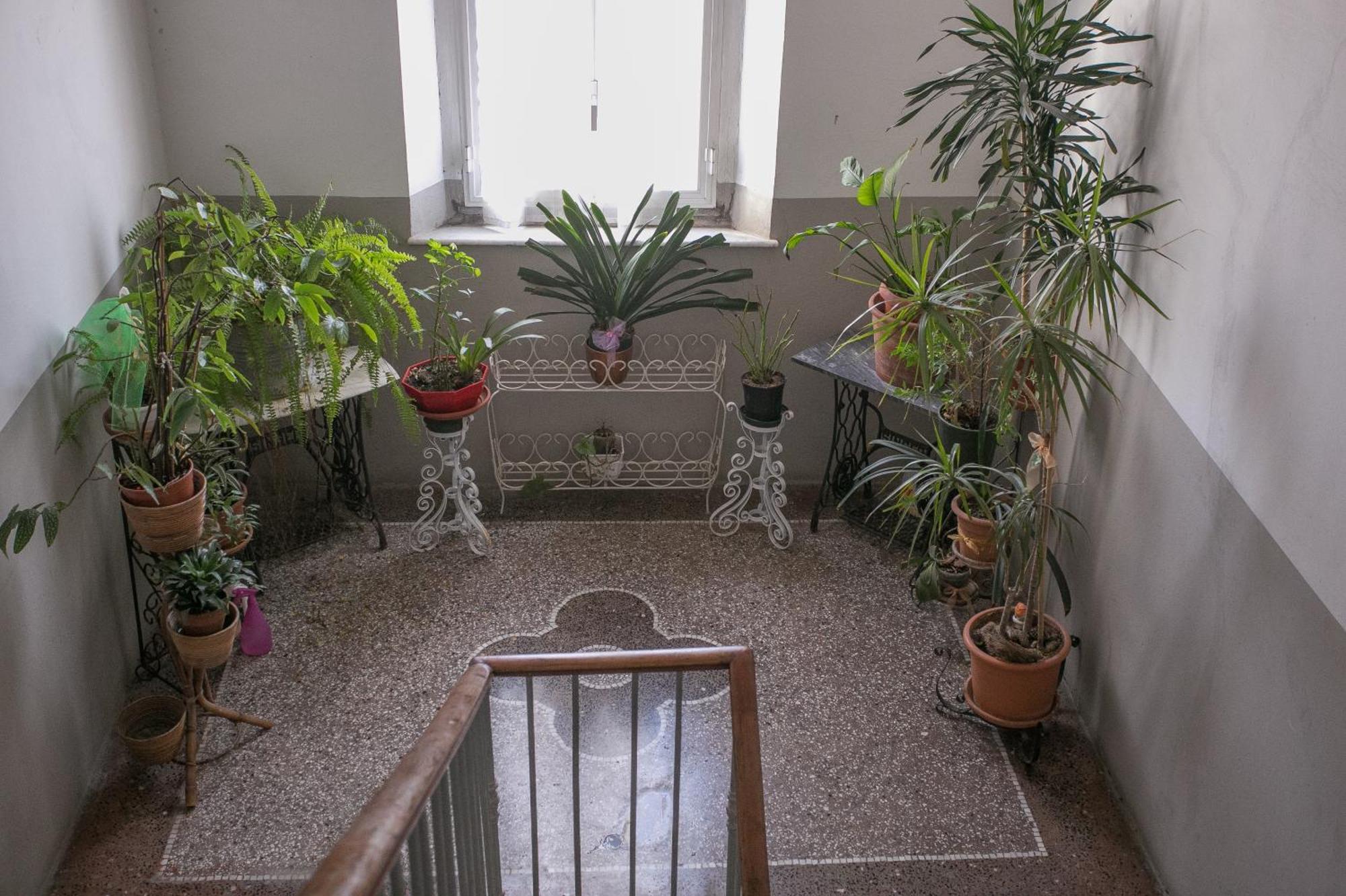 ליבורנו La Finestra Sul Mare B&B מראה חיצוני תמונה